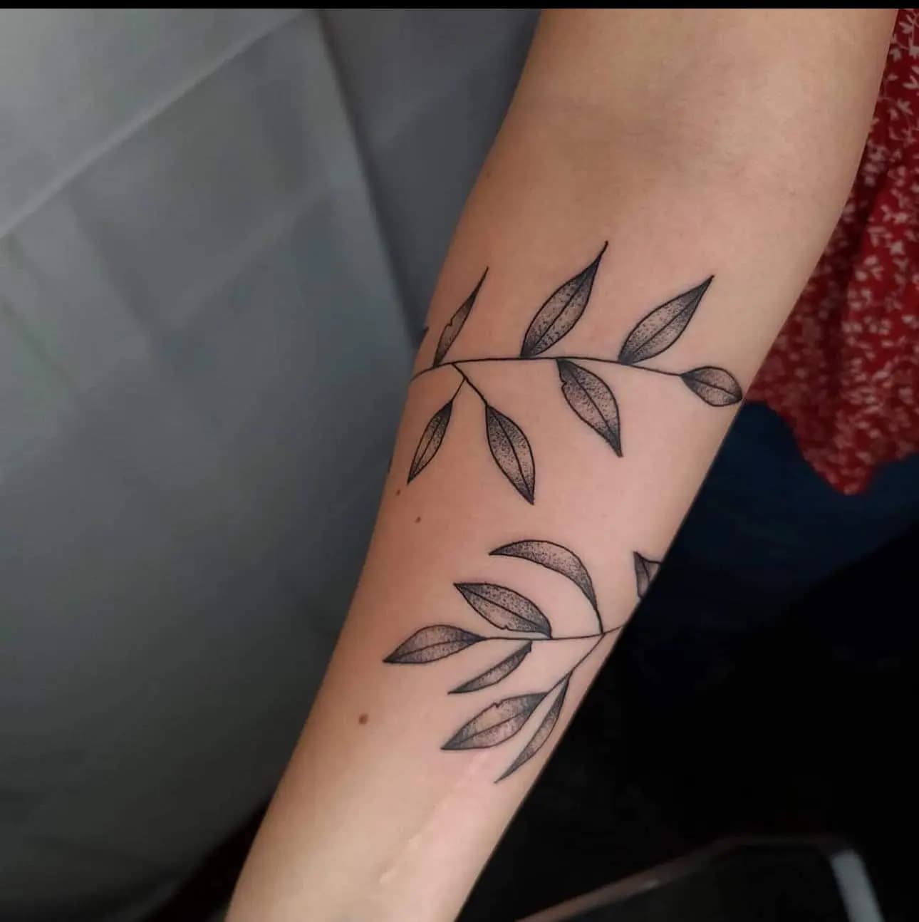 Fine line botanical vine tattoo on the forearm