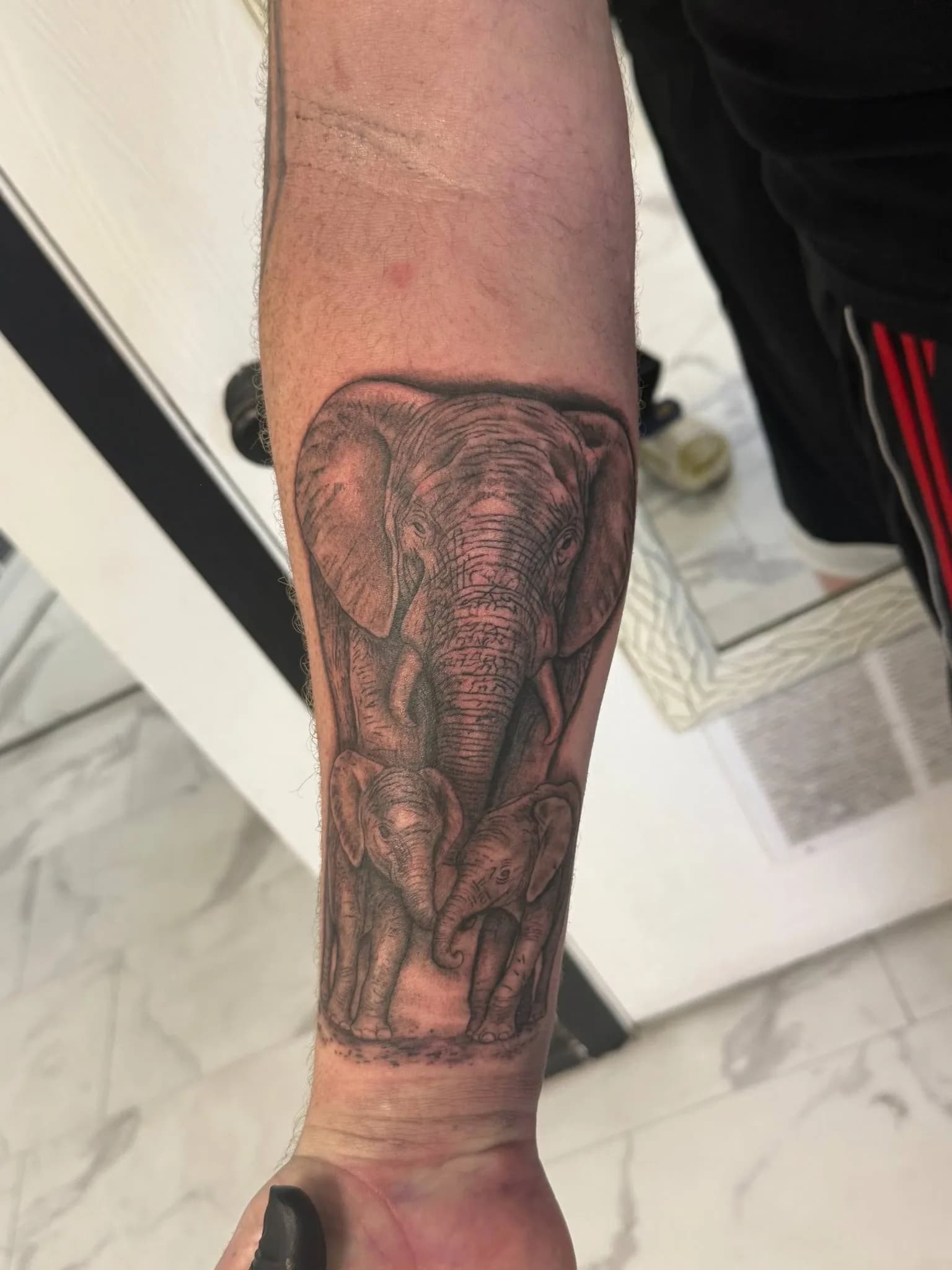 Black and grey realism elephant tattoo on the forearm